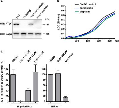 Inhibition of Type IV Secretion Activity and Growth of Helicobacter pylori by Cisplatin and Other Platinum Complexes